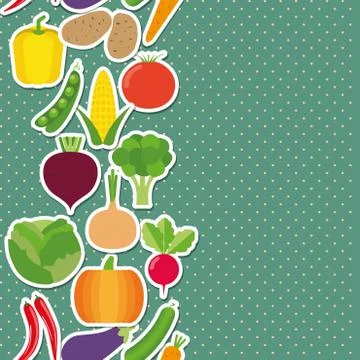Vegetable seamless border pattern. the image of vegetables Illustrazione stock
