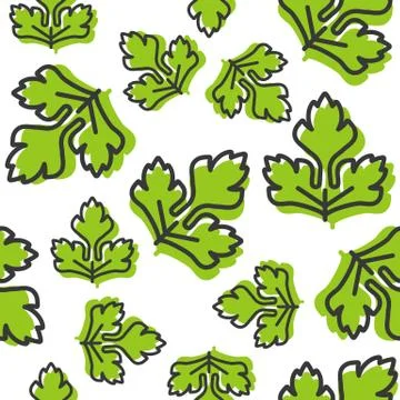 Vegetable seamless pattern, coriander or celery leaf outline for wallpaper an Illustrazione stock