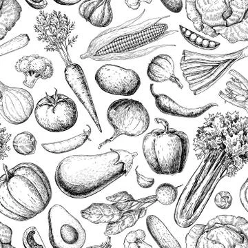 Vegetable seamless pattern. Hand drawn vintage vector background. Vegetaria.. Stock Illustration