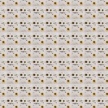 Vegetable seamless pattern on a light background in natural tones. Squares of Stock Photos