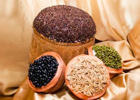 Vegetable seeds Foto stock