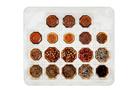 Vegetable seeds Foto stock