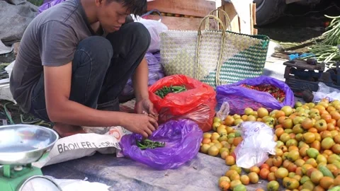 Vegetable sellers or traders are cleaning or sorting chilies Stock Footage 208303417
