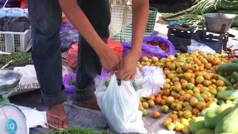 Vegetable sellers or traders weigh cucumbers Stock Footage 209130586