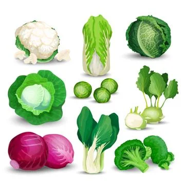 Vegetable set with cabbages Stock Illustration