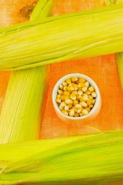 Vegetable set corn complex ear and peeled grains in a white bowl on a bright Stock Photos