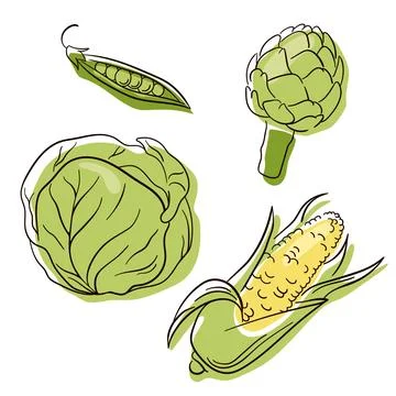 Vegetable set in line art style. Food collection for restaurants, menu, posters Stock Illustration