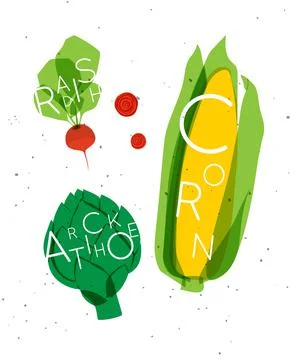 Vegetable set radish, artichoke, corn Stock Illustration
