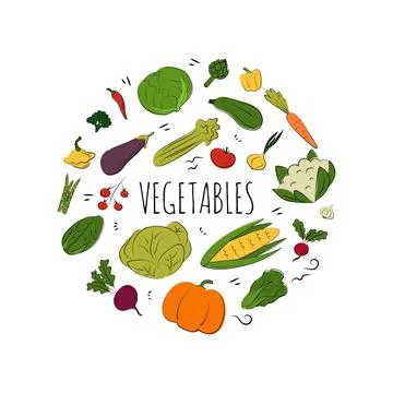 Vegetable set. Vector flat illustration. Vegetarian concept Stock Illustration