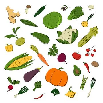 Vegetable set. Vector flat illustration. Vegetarian concept Stock Illustration