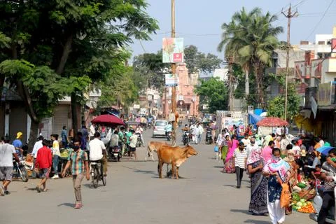 Vegetable shopping during lock down in India Foto stock