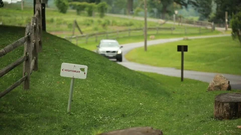 Vegetable Sign 動画素材 594152