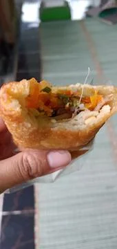 Vegetable Spring Roll Foto stock