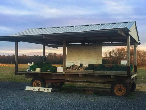 Vegetable stand on a farm wagon Stock Photos