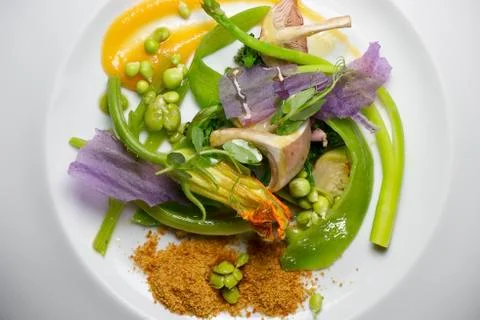 Vegetable stew 库存照片