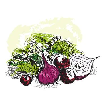 Vegetable still life Stock Illustration