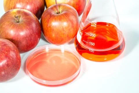 Vegetable test,  Genetic Modification,apple 스톡 사진