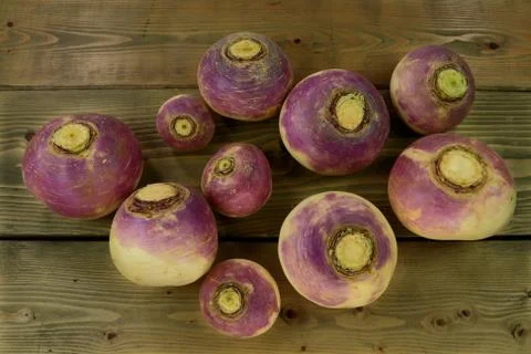 Vegetable turnip roots Stock Photos