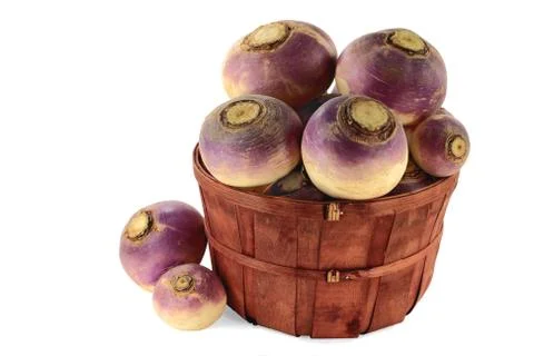 Vegetable turnip roots Stock Photos