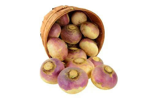Vegetable turnip roots Stock Photos