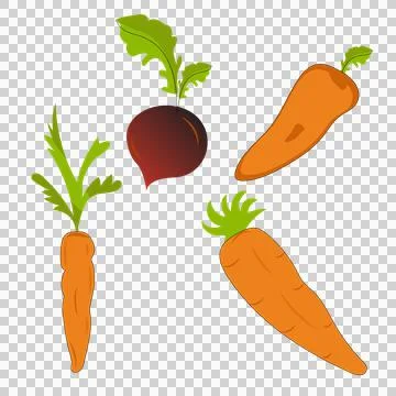 Vegetable Vector Bundle Stock Illustration
