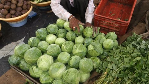 Vegetable vendor India Stock Footage 91824569