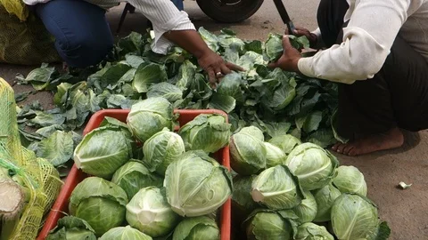 Vegetable vendor India Stock Footage 91824654