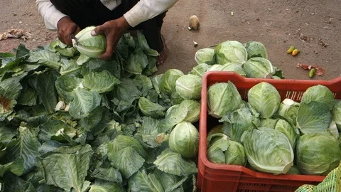 Vegetable vendor India Stock Footage 91824682