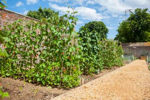 Vegetable walled garden Stock Photos