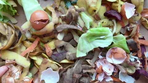 Vegetable waste cabbage, potatoes, carrots peels and eggshells. The concept of a Stock Footage 229542476