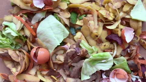 Vegetable waste cabbage, potatoes, carrots peels and eggshells. The concept of a Stock Footage 229542498