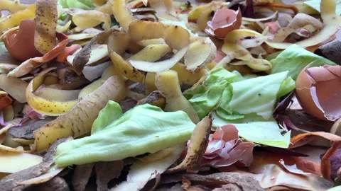 Vegetable waste cabbage, potatoes, carrots peels and eggshells. The concept of a Stock Footage 229542513