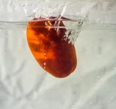 Vegetable water splash Stock Photos