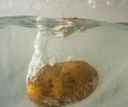 Vegetable water splash Stock Photos