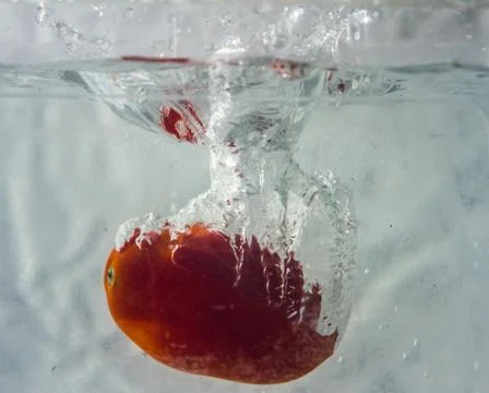 Vegetable water splash Stock Photos