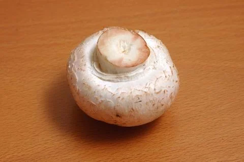 Vegetable, white button mushroom shape bottom side round Stock Photos