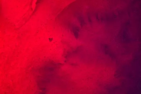 Vegetable world. Stock Photos