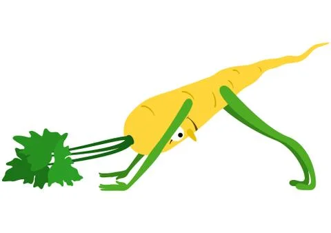 Vegetable yoga parsnip Stock Illustration