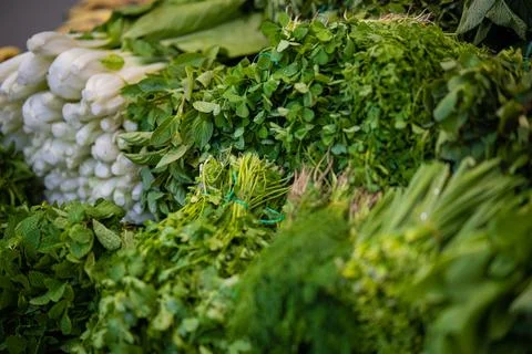 Vegetables 02 스톡 사진