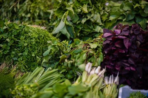 Vegetables 03 스톡 사진