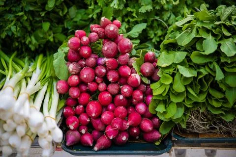 Vegetables 04 Stock Photos