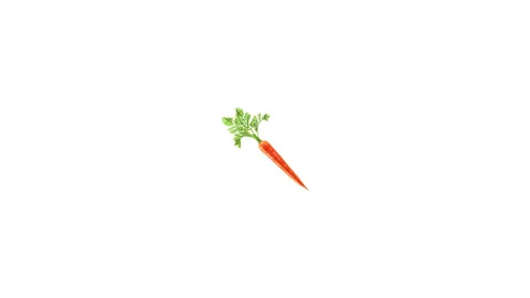 Vegetables 8K 2D loop animation Stock Footage 156534867