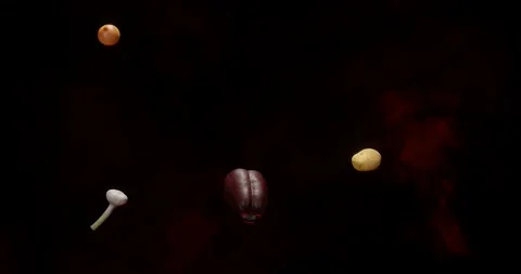 Vegetables in the air with a dark background and studio light. Ingridient Stock Footage 155708132
