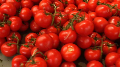 Vegetables and fruit Stock Footage 473517