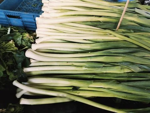 Vegetables and herbs Stock-Fotos