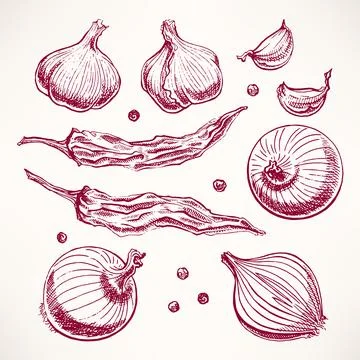 Vegetables and spices set - 2 Illustrazione stock