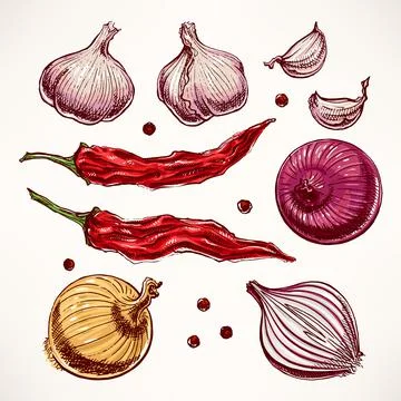 Vegetables and spices set Illustrazione stock