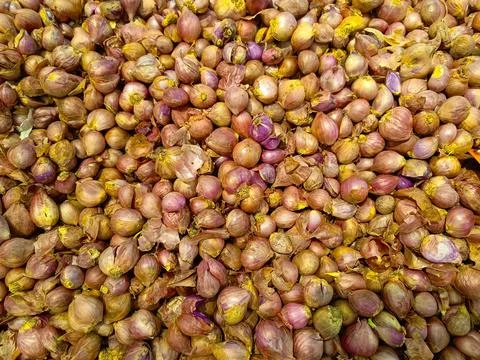 Vegetables are an important source of nutrients, Фото