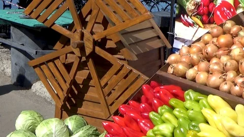 Vegetables are on the round counter Stock Footage 119828429
