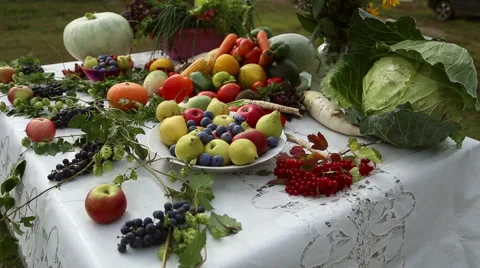Vegetables are on the table Stock Footage 67977677